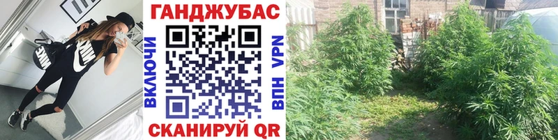 Купить закладку COCAIN  Канабис  Мефедрон  ГАШИШ  Пыталово