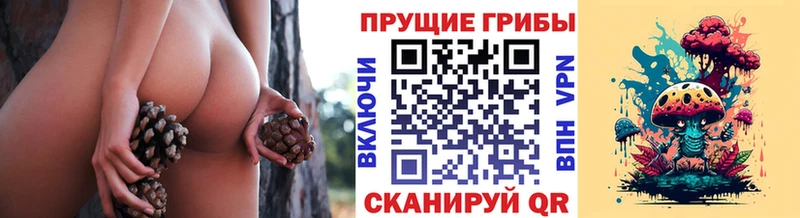 Галлюциногенные грибы Magic Shrooms  Купить  Пыталово 